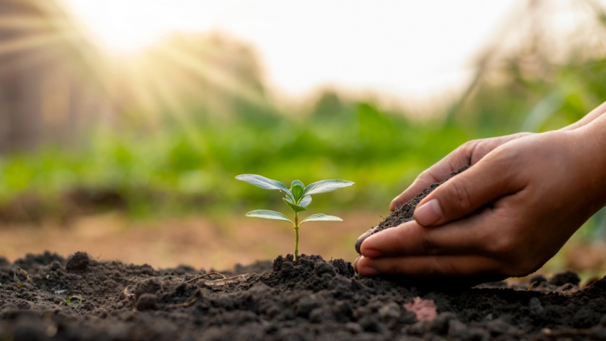 Foreign scientists discuss healthy soil for sustainable development in Vietnam